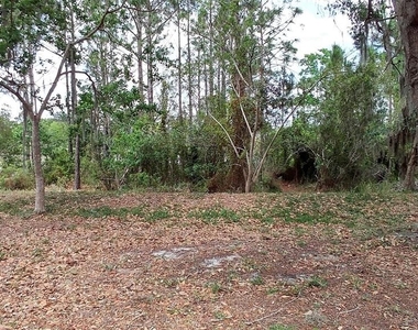 3842 Stonefield Drive - Photo Thumbnail 11