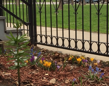 2318 S Marshall Boulevard - Photo Thumbnail 14