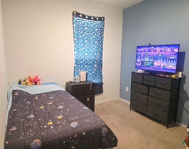 17806 Juneberry Seed Street - Photo Thumbnail 11