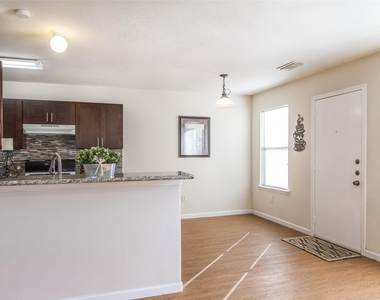 14202 Ballfour Park Lane - Photo Thumbnail 3