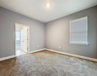 17535 Cantarina Cove - Photo Thumbnail 42