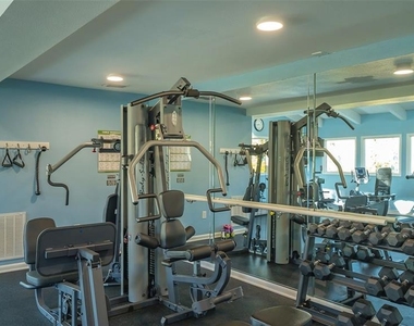 1611 Clower Creek Drive - Photo Thumbnail 58