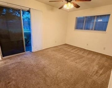 710 Silverstone Drive - Photo Thumbnail 18