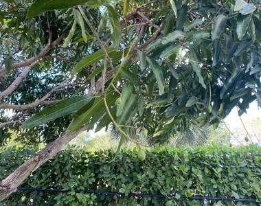 1094 Raintree Lane - Photo Thumbnail 24