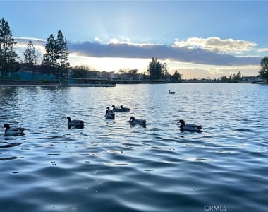30665 Spring Deep Terrace - Photo Thumbnail 61