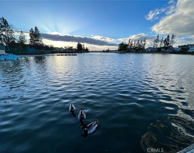 30665 Spring Deep Terrace - Photo Thumbnail 41