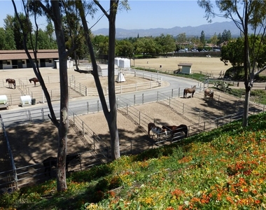 4025 Calle Sonora Este - Photo Thumbnail 7