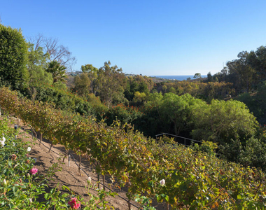 6110 Merritt Drive - Photo Thumbnail 46