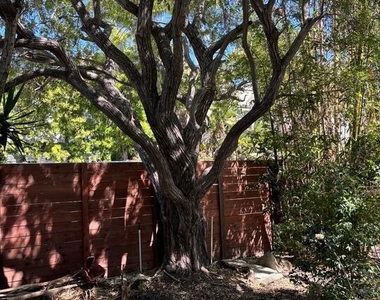 688 Mildred Avenue - Photo Thumbnail 12