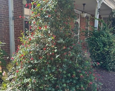 240 Franklin Street - Photo Thumbnail 26