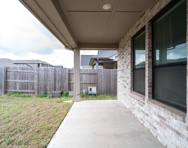24819 Yellow Spruce - Photo Thumbnail 23