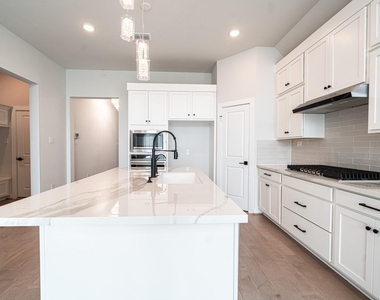 24819 Yellow Spruce - Photo Thumbnail 6
