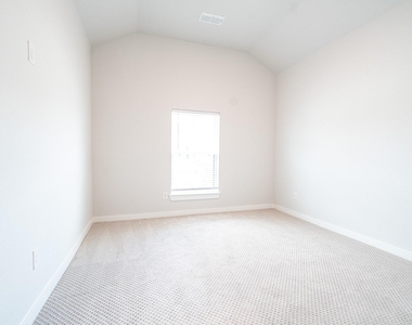 24819 Yellow Spruce - Photo Thumbnail 2