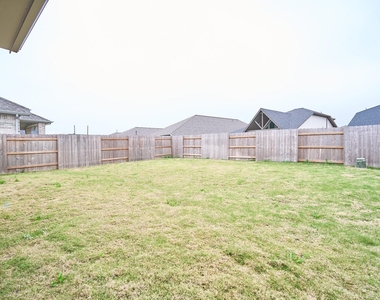24819 Yellow Spruce - Photo Thumbnail 24