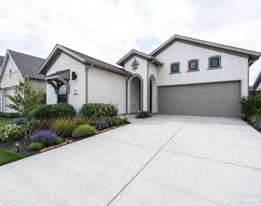 24819 Yellow Spruce - Photo Thumbnail 1