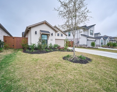 24819 Yellow Spruce - Photo Thumbnail 1