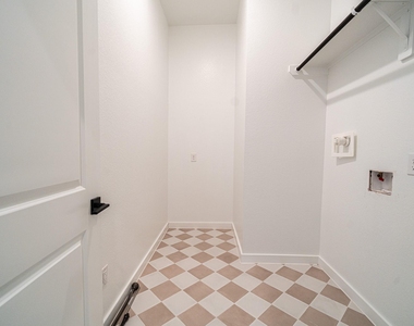 24819 Yellow Spruce - Photo Thumbnail 21