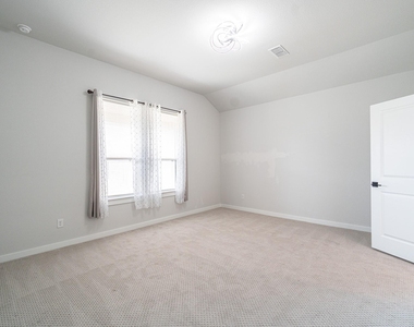 24819 Yellow Spruce - Photo Thumbnail 14