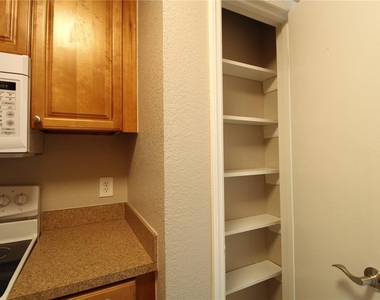 13731 Juniper Blossom Drive - Photo Thumbnail 12