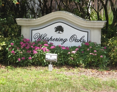13731 Juniper Blossom Drive - Photo Thumbnail 21