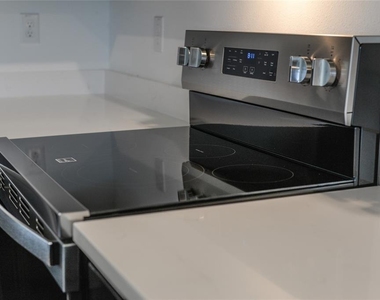 17208 English Chestnut Way - Photo Thumbnail 12