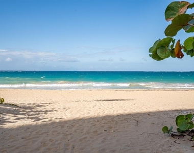 56 Calle F Krug Condado - Photo Thumbnail 11