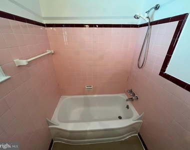 509 Larkspur Street - Photo Thumbnail 10