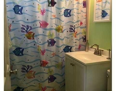 315 Van Buren Street - Photo Thumbnail 15