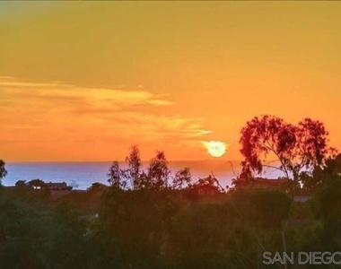 1463 Paseo De Las Flores - Photo Thumbnail 30