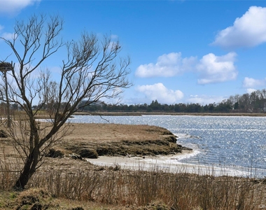 250 Oak Road - Photo Thumbnail 19