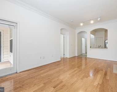 7 Booth Street - Photo Thumbnail 3