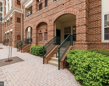7 Booth Street - Photo Thumbnail 19