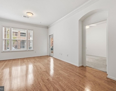 7 Booth Street - Photo Thumbnail 5