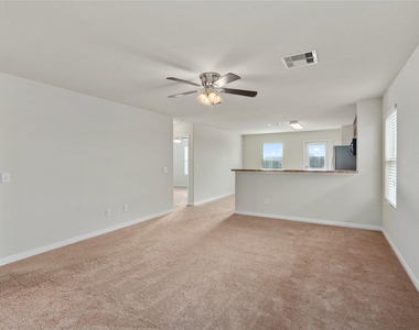 1323 Pease River Lane - Photo Thumbnail 5