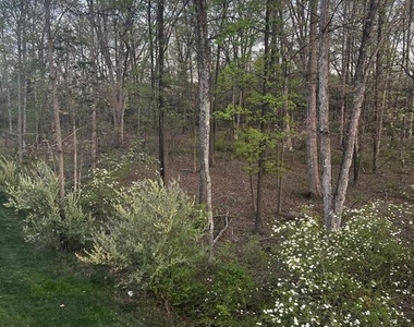 42482 Dogwood Glen Square - Photo Thumbnail 31