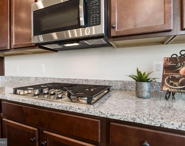 42482 Dogwood Glen Square - Photo Thumbnail 12