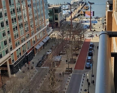 155 Potomac - Photo Thumbnail 43