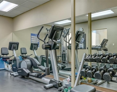 235 Cocoanut Avenue - Photo Thumbnail 52