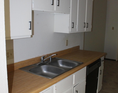 10736 Obsidian Street - Photo Thumbnail 6