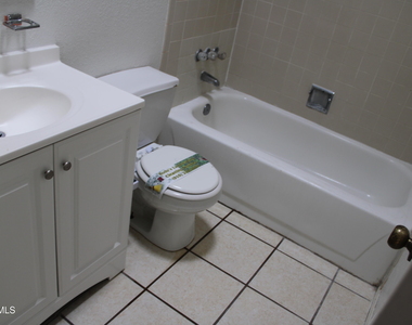 10736 Obsidian Street - Photo Thumbnail 15