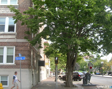 218 Bedford Street - Photo Thumbnail 9