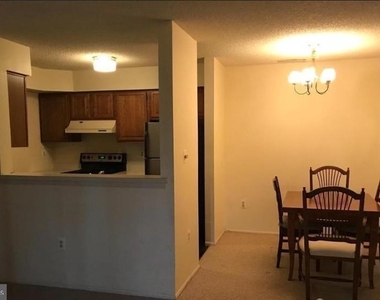 1105 Aspen Drive - Photo Thumbnail 7