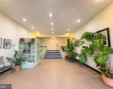 614 Sligo Avenue - Photo Thumbnail 5