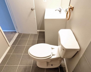 1703 Fountain Rock Way - Photo Thumbnail 14