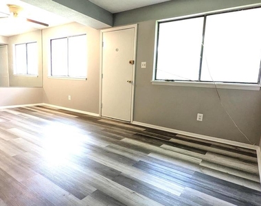 1703 Fountain Rock Way - Photo Thumbnail 4