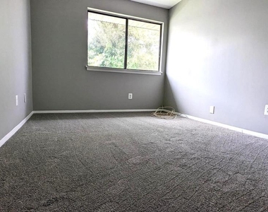 1703 Fountain Rock Way - Photo Thumbnail 9