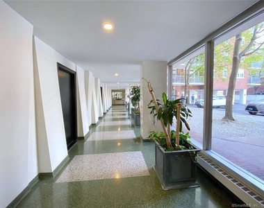 444 Bedford Street - Photo Thumbnail 13