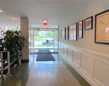 444 Bedford Street - Photo Thumbnail 12