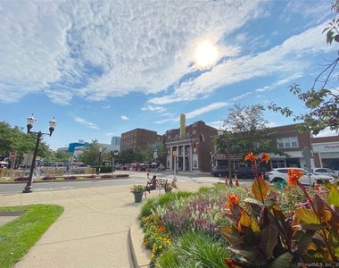 444 Bedford Street - Photo Thumbnail 24