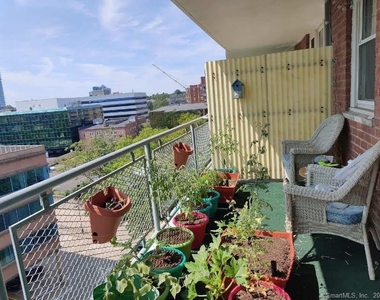 444 Bedford Street - Photo Thumbnail 17